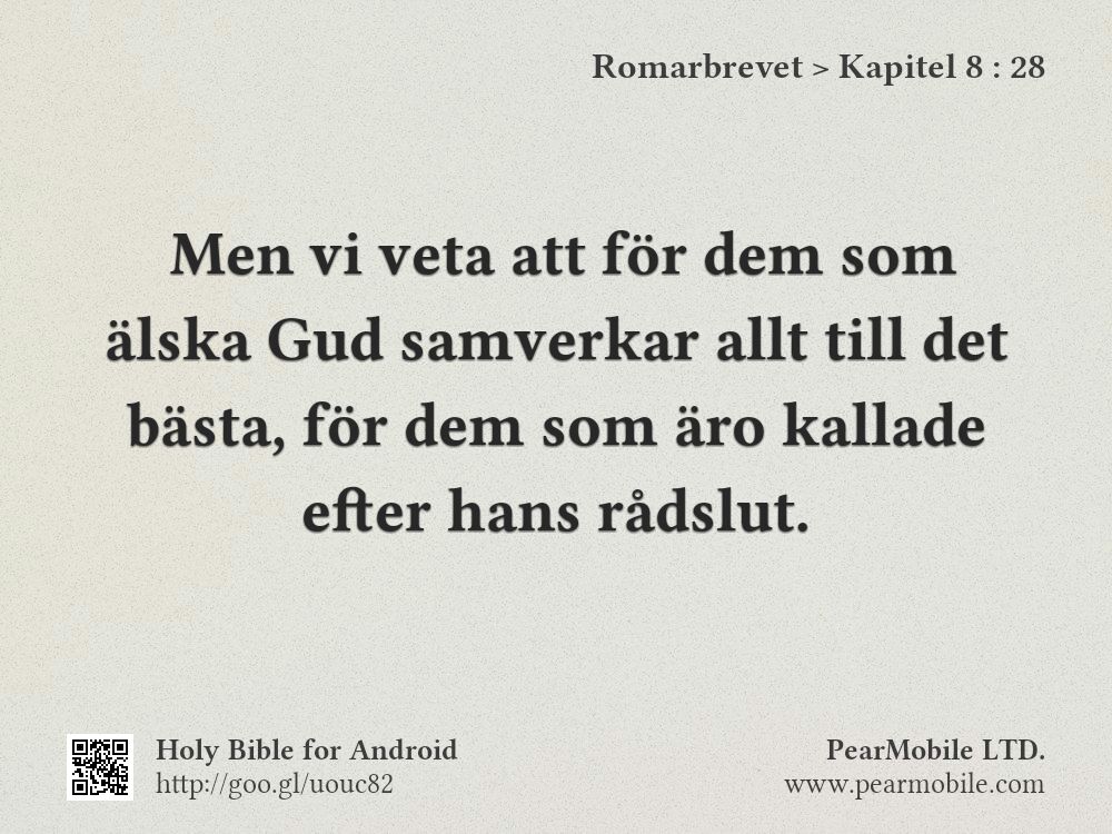Romarbrevet, Kapitel 8:28